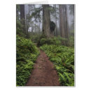 Search for raymond klass postcards Old growth