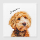 Search for cute animal calendars Fluffy