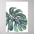 Search for 4 leaf posters Leaves