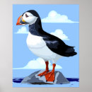 Search for atlantic puffin posters Wild