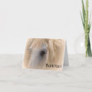Search for dapple cards Equine