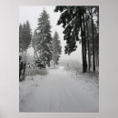 Search for winter path posters Forest