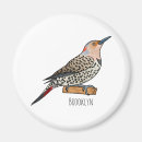 Search for flicker magnets Bird