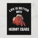Search for hermit postcards Crustacean