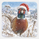 Search for pheasant stickers Watercolor