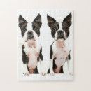 Search for boston terrier puzzles Funny