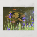 Search for blue pond postcards Carp