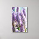 Search for australia art Beautiful
