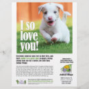 Search for adoptive flyers Pets