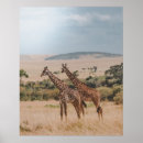 Search for natural world posters Wildlife