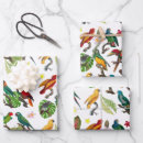 Search for bird of paradise wrapping paper Parrots