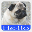 Search for pug puppy stickers Pugs