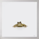 Search for grey scale posters Animal