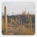 Search for arizona desert stickers Travel