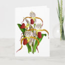 Search for white orchids cards Tropical