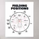 Search for cricket field posters Swing bowling