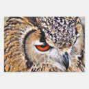 Search for raptor wrapping paper Animals