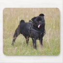Search for harness mousepads Dog