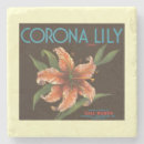 Search for crate coasters Fruit