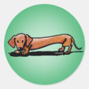 Search for doxy stickers Dog