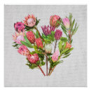 Search for protea decor Colourful