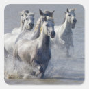 Search for horse pictures stickers Wild west