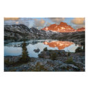 Search for ansel California