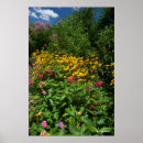 Search for lush green posters Nature