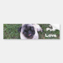 Search for pug bumper stickers Pet