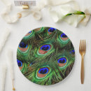 Search for peacock plates Beautiful