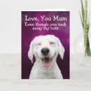 Search for funny labrador birthday cards Humour