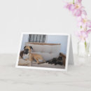 Search for dog and cat mothers day cards Dogs