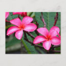 Search for singapore postcards Garden
