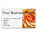Search for fridge business cards Magnetic