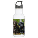 Search for black labrador water bottles Pet