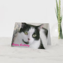 Search for white cat birthday cards Cats