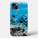 Search for tropical beach iphone cases Maldives