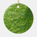 Search for moss christmas tree decorations Nature