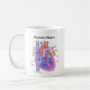 Search for valve mugs Aortic