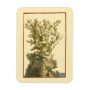 Search for algae magnets Sealife