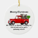 Search for raccoon christmas tree decorations Animal