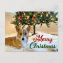 Search for dog christmas postcards Cute