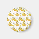Search for simplistic magnets White