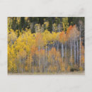 Search for lambert postcards Autumn