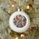 Search for koala bear christmas tree decorations Australian