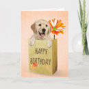 Search for golden retriever birthday cards Puppy