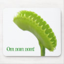 Search for traps Venus fly trap