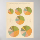 Search for pie chart posters States
