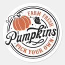 Search for pick stickers Pumpkin