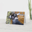 Search for baby goat birthday cards Kid